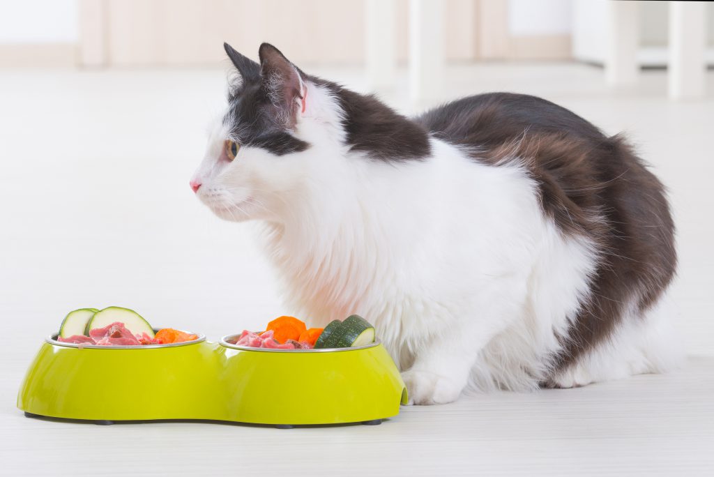 Pet Food Rankings Pet Food Rankings
