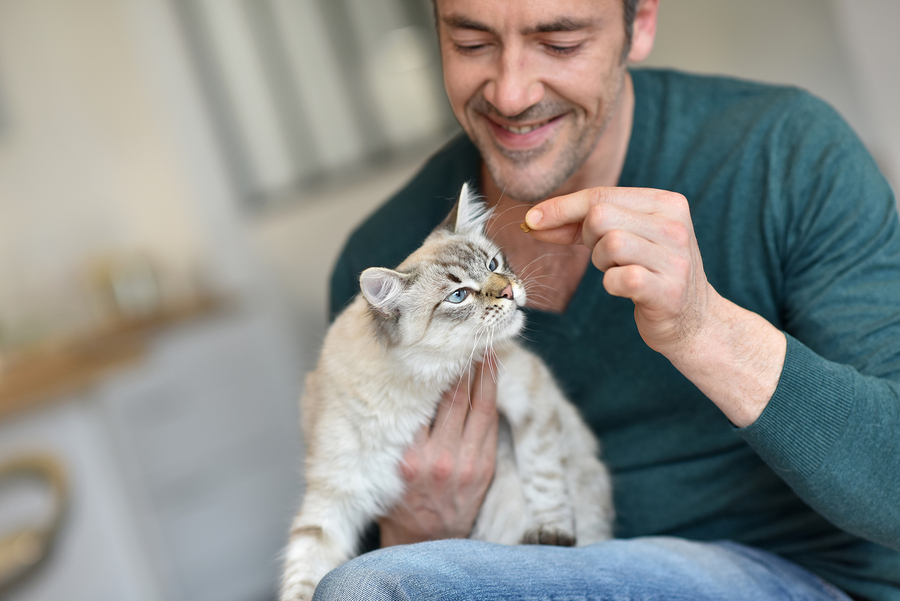 Can People Food Be A Natural Cat Food?